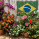 As 6 plantas que florescem o ano todo e são as mais queridinhas dos brasileiros
