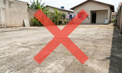 Adeus ao concreto no jardim: a tendência dos anos 60 que voltou com força e promete dominar os projetos em 2026