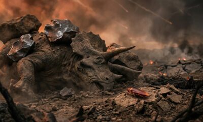 Como as baratas sobreviveram ao fim dos dinossauros mesmo após impacto de asteroide de 10 km há 66 milhões de anos