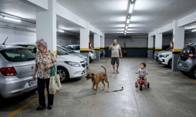 Homem deixa cachorro solto por poucos minutos na área comum e acaba provocando briga entre moradores