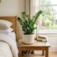 A planta perfeita para decorar o quarto e criar um ambiente mais acolhedor sem complicar os cuidados
