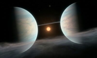 Planetas gigantes e leves como algodão-doce são encontrados a 1.100 anos-luz graças a observações feitas na Antártida