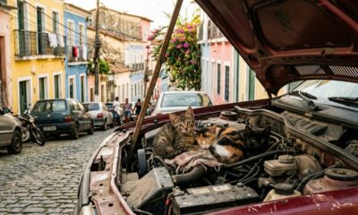 Filhotes de gatinho são encontrados no capô de carro antigo entre folhas