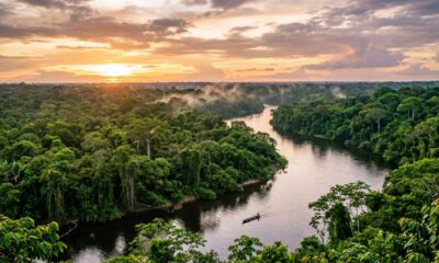 O asteroide que matou os dinossauros provocou mudanças profundas na vegetação da Amazônia
