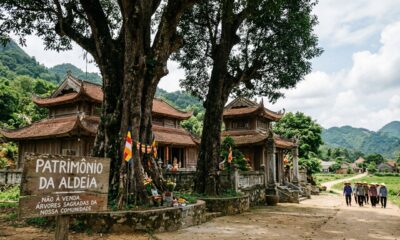 Duas árvores centenárias com mais de 200 anos e uma madeira rara: oferecidas por 100 bilhões, mas ainda não vendidas, e toda a aldeia se reveza para protegê-las