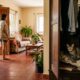 Nem birra, nem antipatia: por que alguns gatos se escondem quando pessoas entram em casa