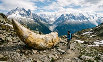 Dente gigante encontrado nos Alpes pode revelar um predador marinho de 205 milhões de anos