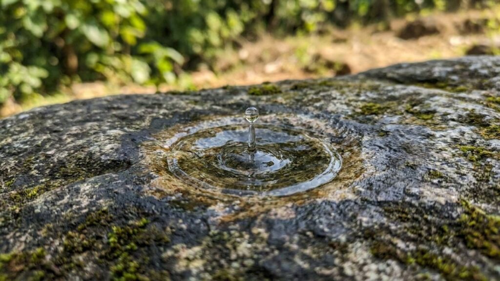 Provérbio chinês do dia: “A gota escava a pedra não pela força, mas pela persistência.” Lições sobre continuar mesmo devagar