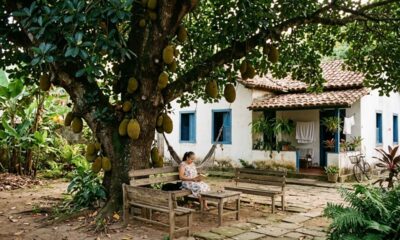 Esta árvore marcou quintais antigos por mais de 50 anos e o motivo vai além dos frutos doces