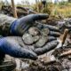 Moedas celtas de 2.300 anos encontradas em pântano suíço intrigam arqueólogos