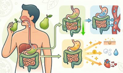 A fruta indicada para depois dos 60 que ajuda a aumentar o consumo de fibras e ainda favorece uma alimentação mais equilibrada