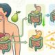 A fruta indicada para depois dos 60 que ajuda a aumentar o consumo de fibras e ainda favorece uma alimentação mais equilibrada