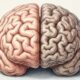 Cientista consegue medir a velocidade com que seu cérebro envelhece e revela o hábito que pode ajudar a frear esse processo