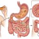 A fruta para o intestino que pode melhorar a saciedade e ainda cabe no café da manhã