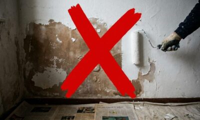 Pintar por cima da infiltração na parede pode virar desperdício se este preparo não for feito antes