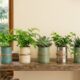 Como transformar latas vazias em decoração linda e útil para sua casa