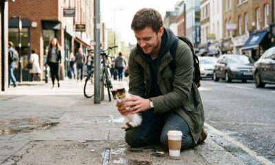 Homem salva gatinho vulnerável com copo do Starbucks