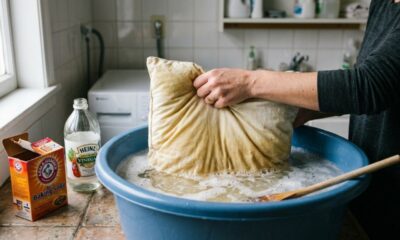 Remova manchas amarelas dos travesseiros antigos sem esfregar por horas com este truque caseiro simples que também devolve o frescor