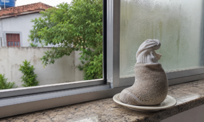 O truque da meia com areia de gato na janela que pode salvar sua casa do vidro embaçado