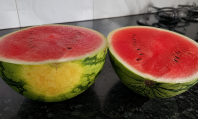 Como escolher melancia doce e suculenta sem cair no erro que estraga o sabor
