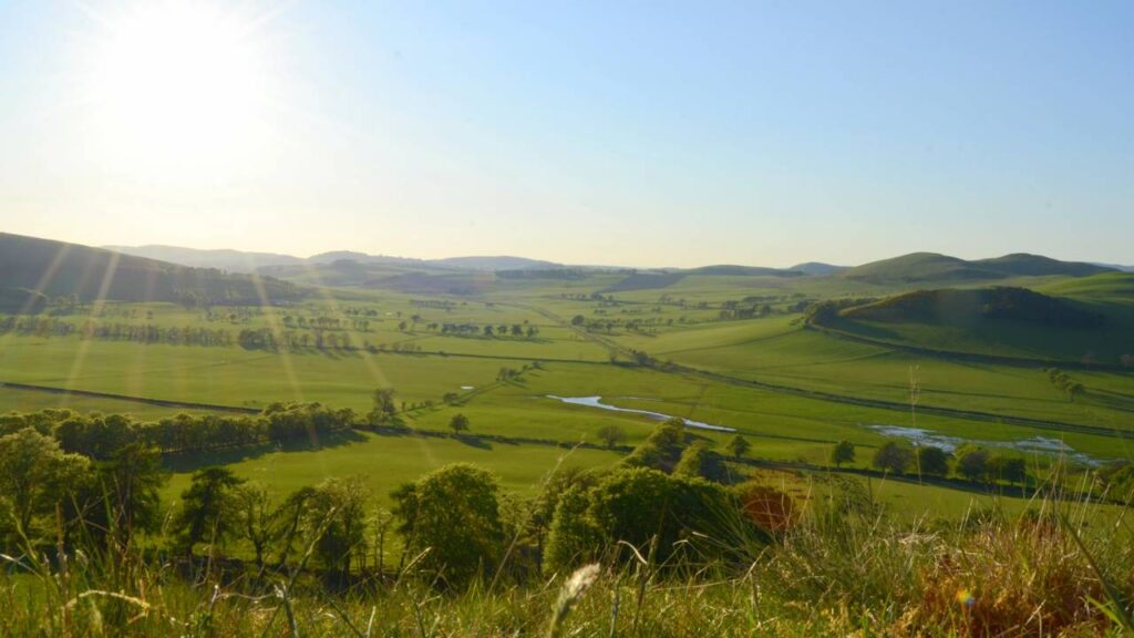Nova análise do "lugar mais antigo da América", sítio de Monte Verde, reacende debate sobre os primeiros habitantes das Américas
