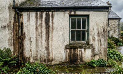 Como recuperar muro manchado de chuva e deixar a área externa com aparência renovada