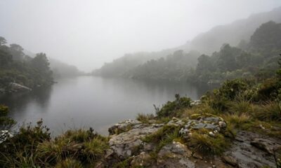 Cientistas descobrem algo totalmente inesperado dentro da neblina que pode beneficiar os humanos
