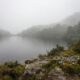 Cientistas descobrem algo totalmente inesperado dentro da neblina que pode beneficiar os humanos