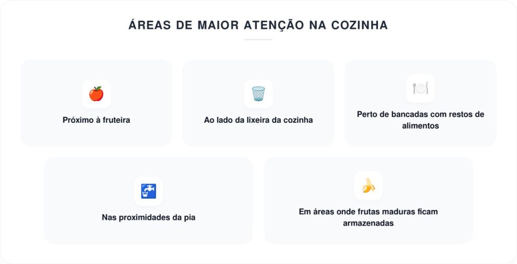 A armadilha feita com açúcar, água, vinagre e detergente: para que serve e por que é recomendada?