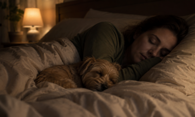 A psicologia diz que as pessoas que dormem com seus animais de estimação muitas vezes priorizam essa necessidade emocional