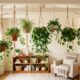 O truque das plantas pendentes para decorar espaços pequenos sem ocupar nenhum móvel da casa