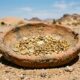 Mais de 100 decorações de ouro em um prato de barro. Um misterioso tesouro do deserto