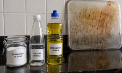 Qual o melhor produto para tirar gordura da cozinha bicarbonato, vinagre ou detergente comum