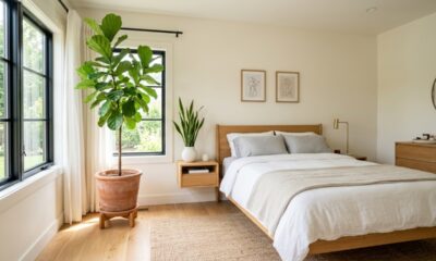 Cientistas da NASA revelam as plantas que limpam o ar do quarto e ainda decoram