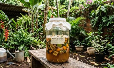 Nem café nem cascas de ovo: fertilizante caseiro considerado “ouro verde” ajuda a revitalizar e fazer as plantas crescerem