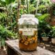 Nem café nem cascas de ovo: fertilizante caseiro considerado “ouro verde” ajuda a revitalizar e fazer as plantas crescerem