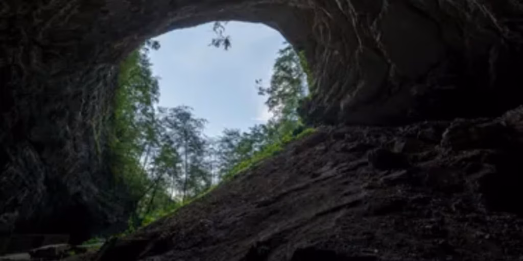 Entraram numa caverna há 14.400 anos e caminharam 800 metros abaixo da terra usando apenas galhos de pinheiro