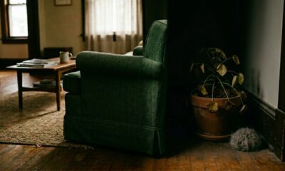 O lugar onde você nunca deve colocar uma planta na sala e por quê