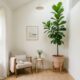 Como usar plantas altas para fazer sua casa parecer muito maior do que é