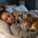 Psicologia revela o benefício emocional compartilhado por pessoas que dormem com seus animais de estimação