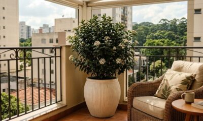 Nem roseiras nem limoeiros: esse é o melhor arbusto perene para transformar sua varanda em um paraíso de flores brancas