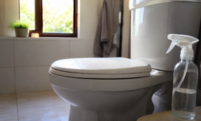 Borrifar água com bicarbonato no vaso sanitário pode ajudar no problema que mais incomoda no banheiro