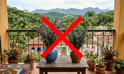 Nem lavanda, nem alecrim: essa planta aromática para varanda fica florida e perfumada por mais tempo