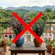 Nem lavanda, nem alecrim: essa planta aromática para varanda fica florida e perfumada por mais tempo