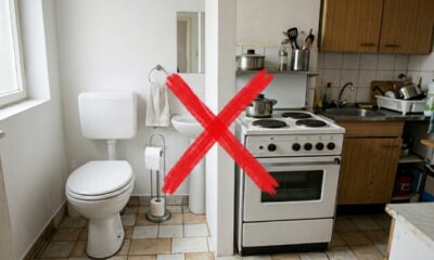 Nem vaso sanitário, nem fogão: estes são os itens que mais acumulam sujeira em casa
