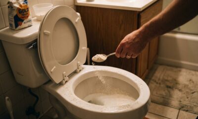 Jogar farinha no vaso sanitário à noite: uma colherada resolve um problema que todo mundo enfrenta