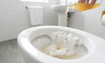 Despejar bicarbonato de sódio e vinagre de maçã no vaso sanitário: para que serve e por que é recomendado