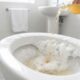 Despejar bicarbonato de sódio e vinagre de maçã no vaso sanitário: para que serve e por que é recomendado