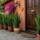 As 3 plantas que você deve colocar logo na entrada da casa para atrair proteção