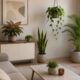 Plantas adaptadas à pouca luz deixam apartamentos pequenos mais acolhedores